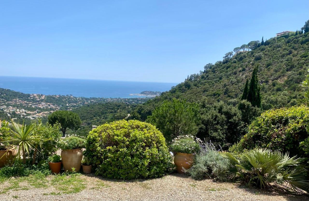Villa Baievue Cavalaire-sur-Mer Eksteriør billede