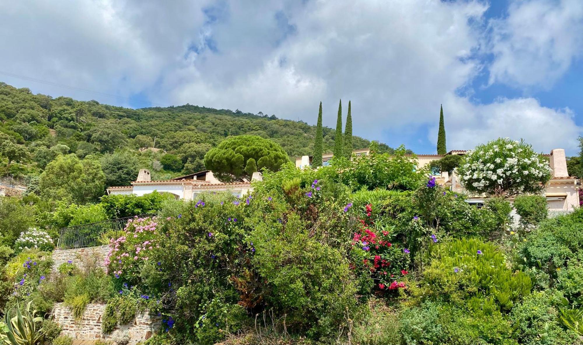 Villa Baievue Cavalaire-sur-Mer Eksteriør billede